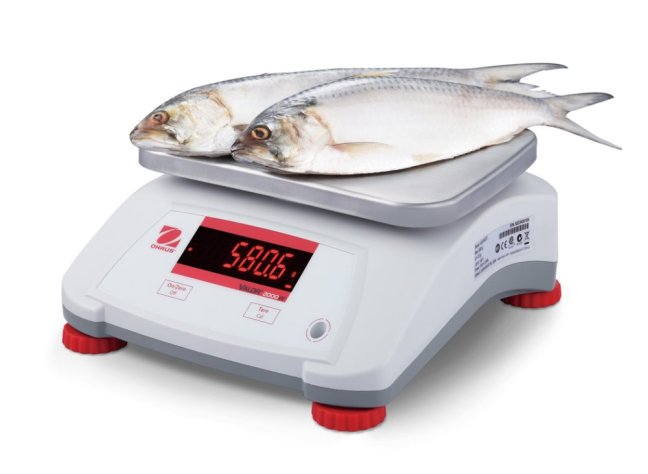 Valor 2000PW Propped Fish Left