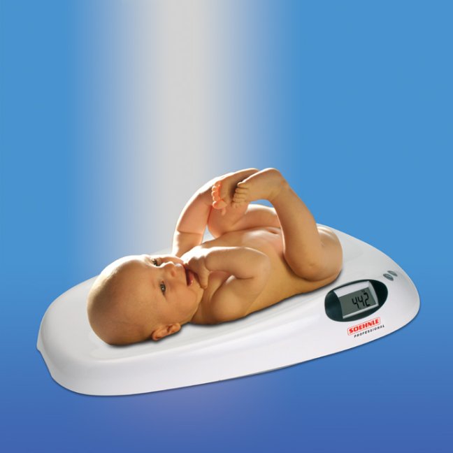 Soehnle Professional 8310.01.001 (2)