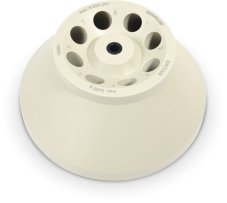 30472305 0000PNP9 515Wx515H 1550462102962 30472305 0000PNP9 515Wx515H 1550462102962