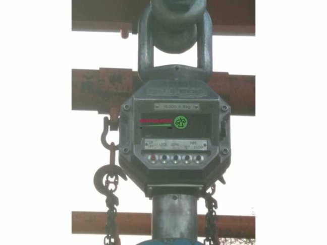 19931 1 optimized