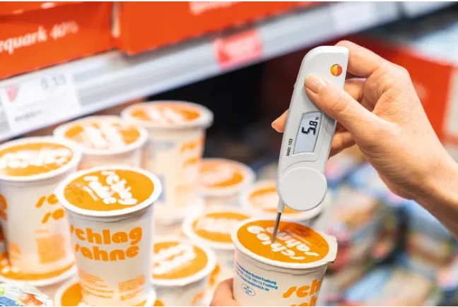 Testo 103 vpichový sklápěcí teploměr s HACCP