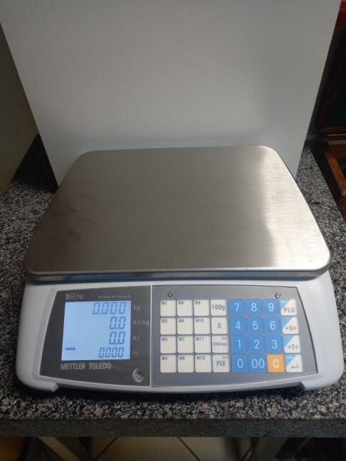 Mettler Toledo bRite-C3-A6D1N