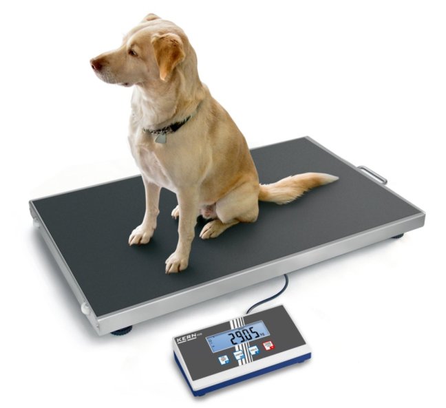 EOS 300K100XL veterinární váha Kern