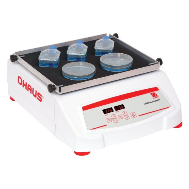 SHHD1619DG RIGHT MAT PETRI CULTURE