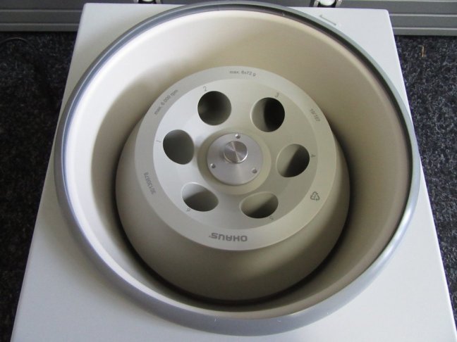 FC5706 (13)