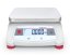 V12P SST Pan Front 0 000 kg