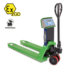 TPWX2GD20M-1 2 t/0,5-1 kg Dini Argeo