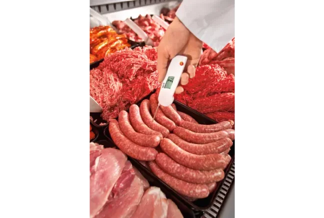 Testo 103 vpichový sklápěcí teploměr s HACCP