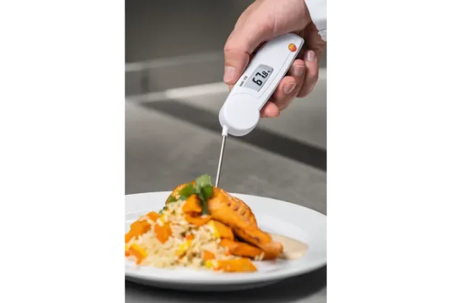 Testo 103 vpichový sklápěcí teploměr s HACCP