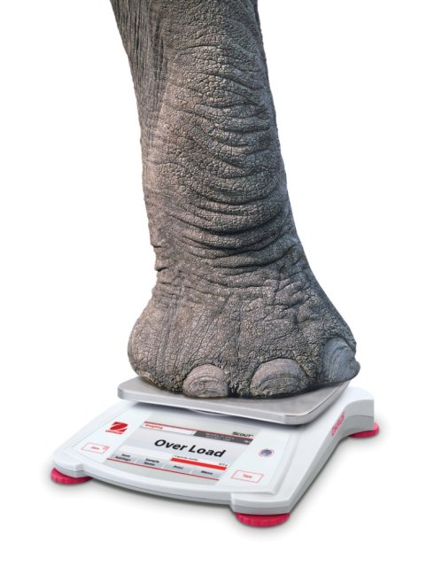 STX 170 x 140 mm laboratorní váha Ohaus (6)